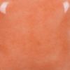 Picture of Mayco Stroke and Coat SC050 Orange Ya Happy 473ml