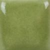 Picture of Mayco Stroke and Coat SC052 Toad ily Green 473ml