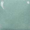 Picture of Mayco Stroke and Coat SC079 Its Sage 473ml