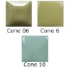 Picture of Mayco Stroke and Coat SC079 Its Sage 473ml
