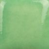 Picture of Mayco Stroke and Coat SC007 Leapin' Lizard 59ml
