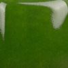 Picture of Mayco Stroke and Coat SC008 Just Froggy 473ml