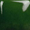 Picture of Mayco Stroke and Coat SC036 Irish Luck 473ml