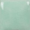 Picture of Mayco Stroke and Coat SC043 Lettuce Alone 236ml