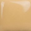 Picture of Mayco Stroke and Coat SC046 Rawhide 473ml