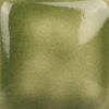 Picture of Mayco Stroke and Coat SC098 Slime Time 59ml