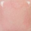 Picture of Mayco Stroke and Coat SP201 Speckled Pink-A-Boo 473ml