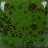Picture of Mayco Stroke and Coat SP226 Speckled Green Thumb 59ml