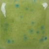 Picture of Mayco Stroke and Coat SP227 Speckled Sour Apple 59ml