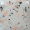 Picture of Mayco Stroke and Coat SP254 Speckled Vanilla Dip 473ml