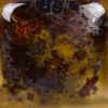 Picture of Mayco Jungle Gems Glaze CG707 Woodland Fantasy 118ml