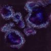 Picture of Mayco Jungle Gems Glaze CG785 Royal Fantasy 118ml