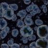 Picture of Mayco Jungle Gems Glaze CG786 Obsidian 118ml