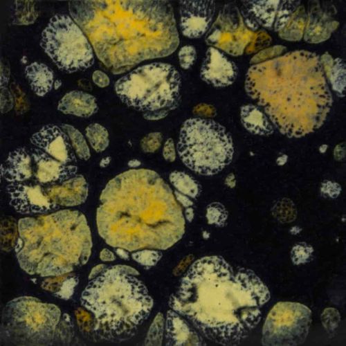 Picture of Mayco Jungle Gems Glaze CG798 Black Iris 118ml