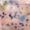 Picture of Mayco Jungle Gems Glaze CG980 Coral Puff 118ml