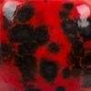 Picture of Mayco Jungle Gems Glaze CG984 Ladybug 118ml