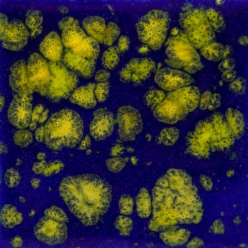 Picture of Mayco Jungle Gems Glaze CG990 Starry Night 118ml
