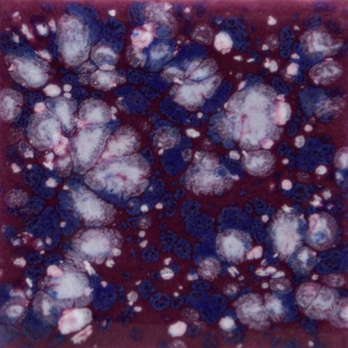 Picture of Mayco Crystalite Glaze S2704 Plum Jelly 118ml