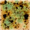 Picture of Mayco Crystalite Glaze S2709 Cappuccino Mint 118ml