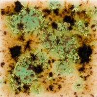 Picture of Mayco Crystalite Glaze S2709 Cappuccino Mint 118ml