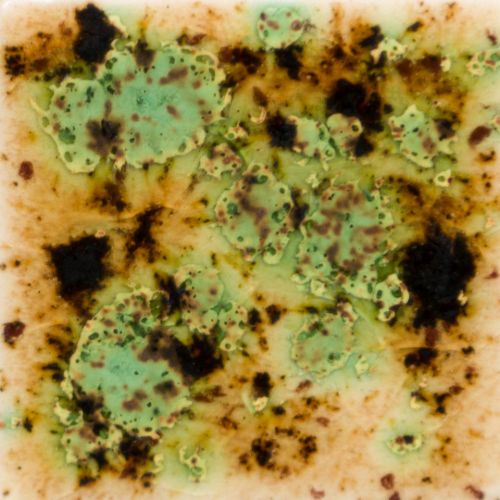 Picture of Mayco Crystalite Glaze S2709 Cappuccino Mint 118ml