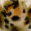 Picture of Mayco Crystalite Glaze S2725 Safari 118ml