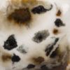 Picture of Mayco Crystalite Glaze S2726 Cheetah 473ml